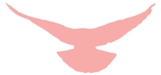1696934925974402
